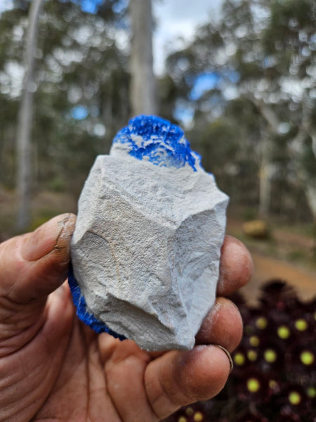 Azurite Sun  AZ216