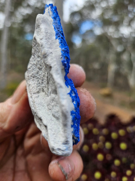 Azurite Sun  AZ216