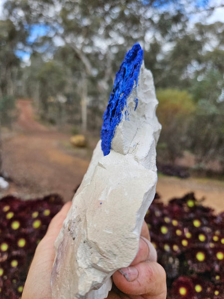 Azurite Sun  AZ218