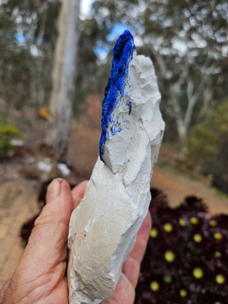 Azurite Sun  AZ218
