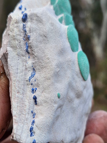 Rare Malachite Suns  AZ217