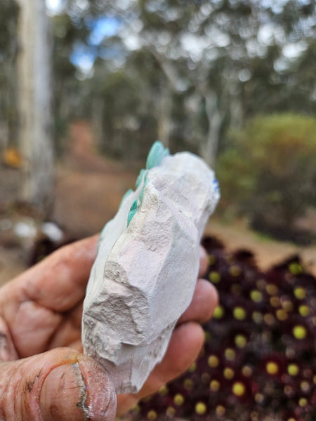 Rare Malachite Suns  AZ217
