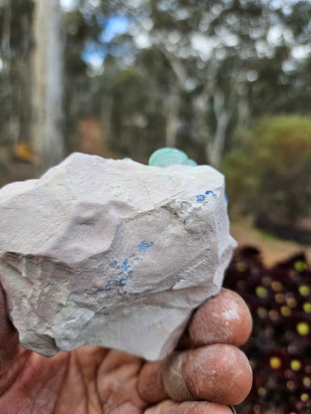 Rare Malachite Suns  AZ217