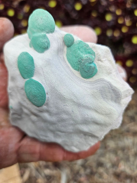 Rare Malachite Suns  AZ217