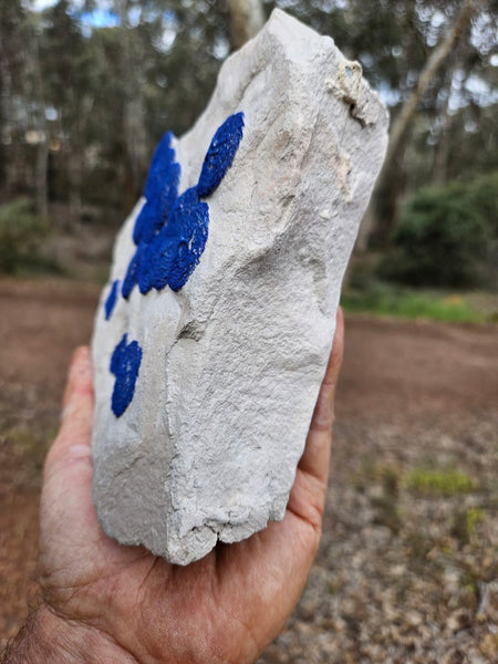 Azurite Sun  AZ219