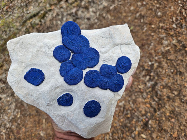 Azurite Sun  AZ219