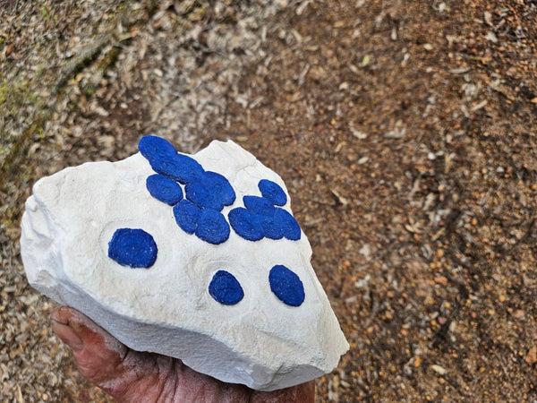 Azurite Sun  AZ219