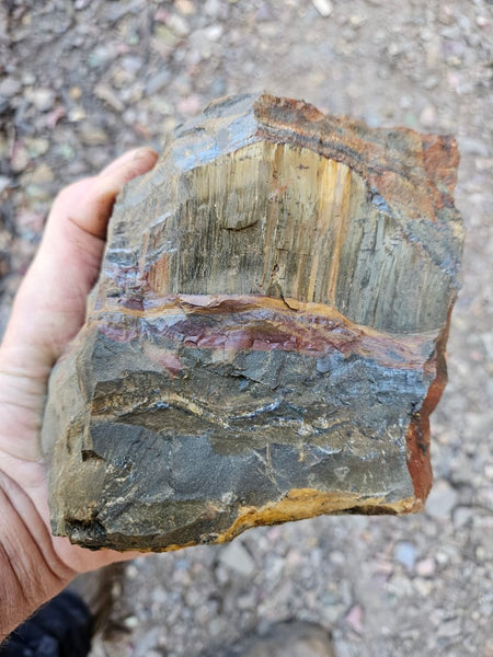 Marra Mamba Tiger Eye rough rock TER103