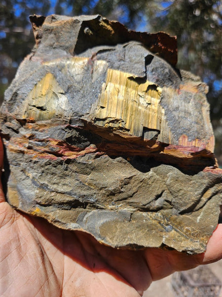 Marra Mamba Tiger Eye rough rock TER103