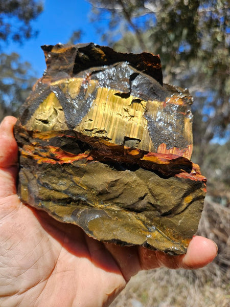 Marra Mamba Tiger Eye rough rock TER103