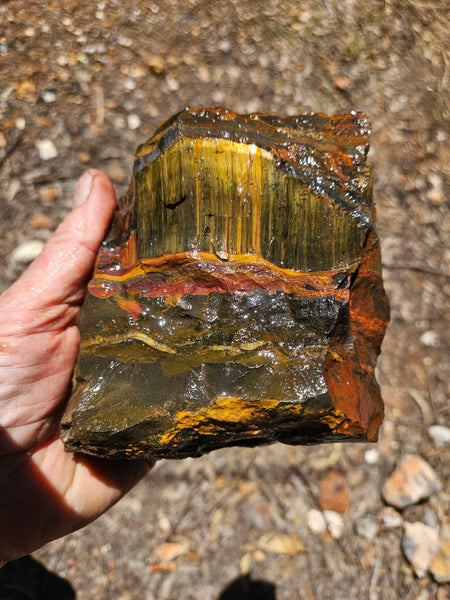 Marra Mamba Tiger Eye rough rock TER103