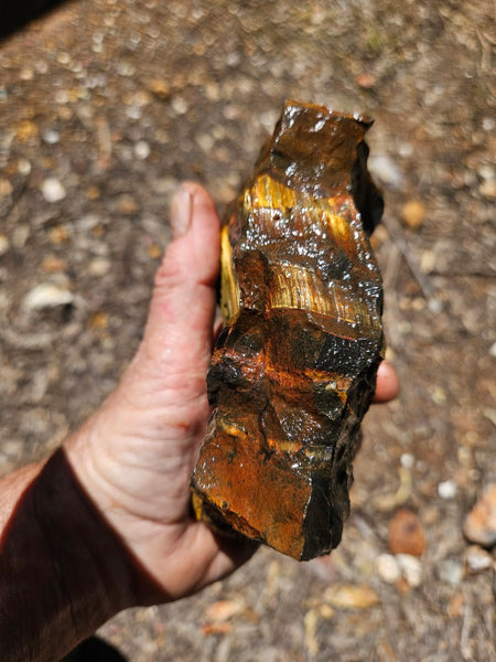 Marra Mamba Tiger Eye rough rock TER103