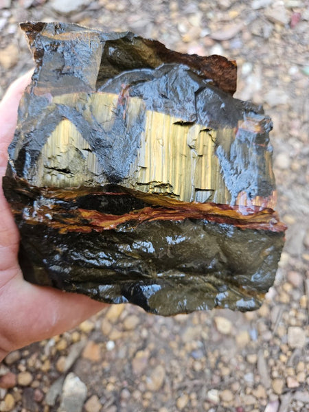 Marra Mamba Tiger Eye rough rock TER103