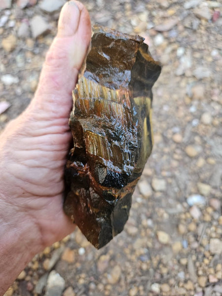 Marra Mamba Tiger Eye rough rock TER103