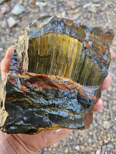 Marra Mamba Tiger Eye rough rock TER103