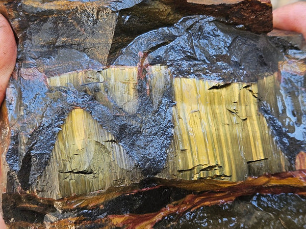 Marra Mamba Tiger Eye rough rock TER103