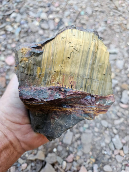 Marra Mamba Tiger Eye rough rock TER104