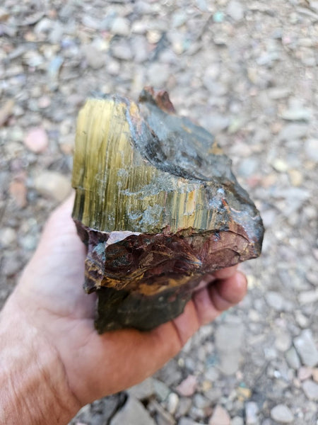 Marra Mamba Tiger Eye rough rock TER104