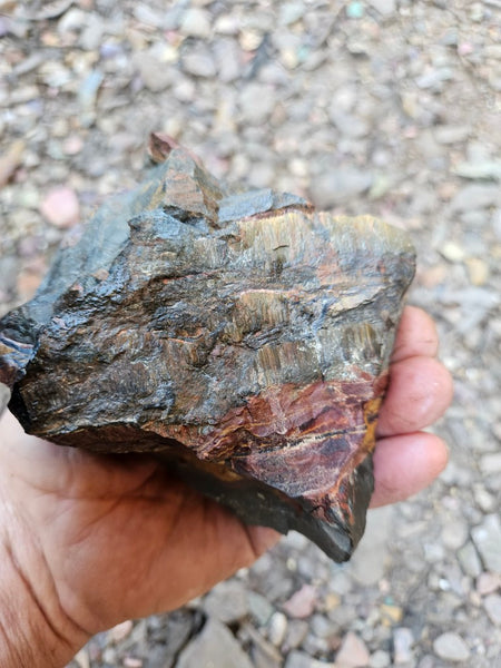 Marra Mamba Tiger Eye rough rock TER104