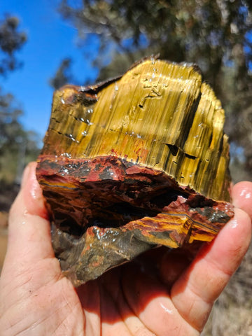 Marra Mamba Tiger Eye rough rock TER104