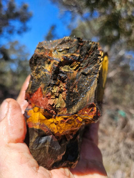 Marra Mamba Tiger Eye rough rock TER104
