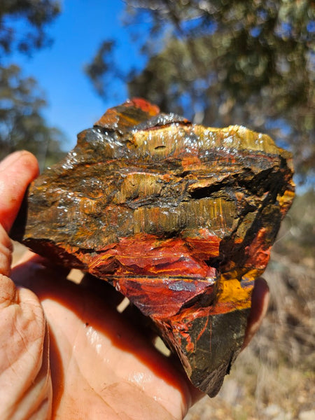 Marra Mamba Tiger Eye rough rock TER104