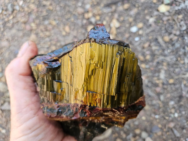 Marra Mamba Tiger Eye rough rock TER104