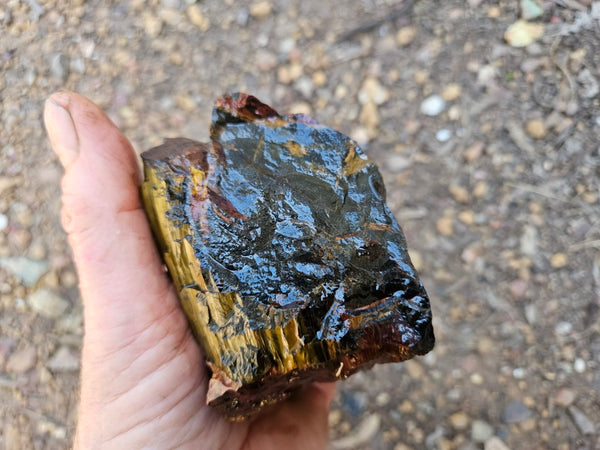 Marra Mamba Tiger Eye rough rock TER104