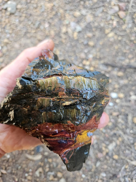Marra Mamba Tiger Eye rough rock TER104