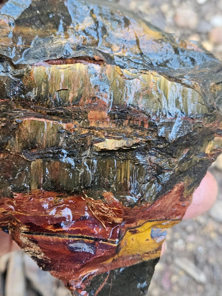 Marra Mamba Tiger Eye rough rock TER104