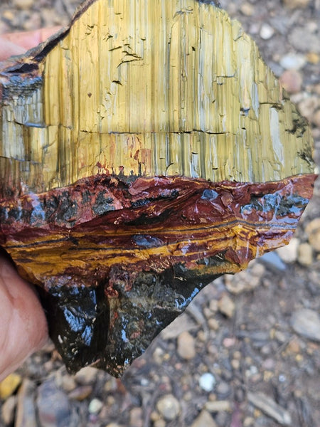 Marra Mamba Tiger Eye rough rock TER104
