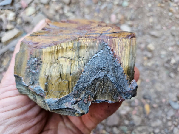 Marra Mamba Tiger Eye rough rock TER105