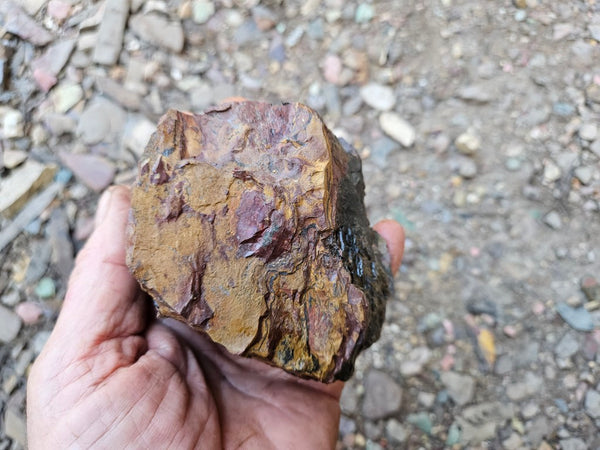 Marra Mamba Tiger Eye rough rock TER105