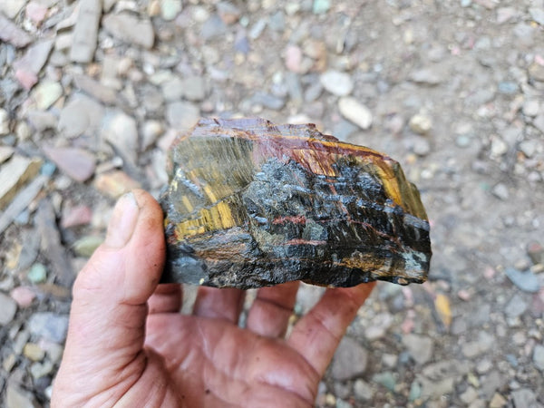 Marra Mamba Tiger Eye rough rock TER105