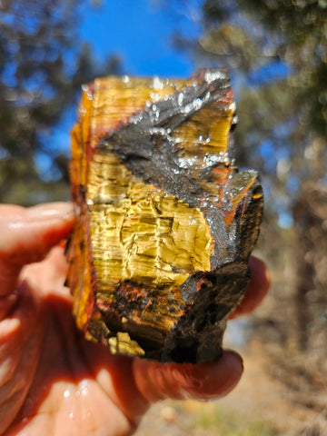 Marra Mamba Tiger Eye rough rock TER105