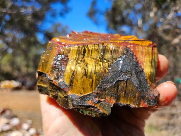 Marra Mamba Tiger Eye rough rock TER105