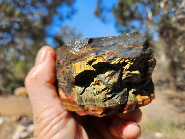 Marra Mamba Tiger Eye rough rock TER105