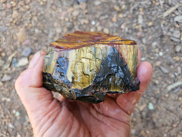 Marra Mamba Tiger Eye rough rock TER105