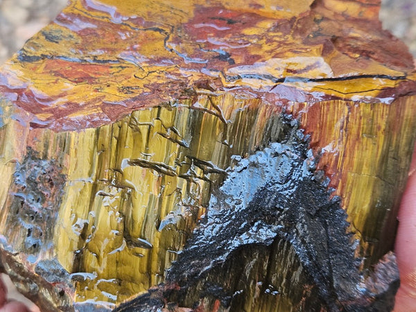 Marra Mamba Tiger Eye rough rock TER105