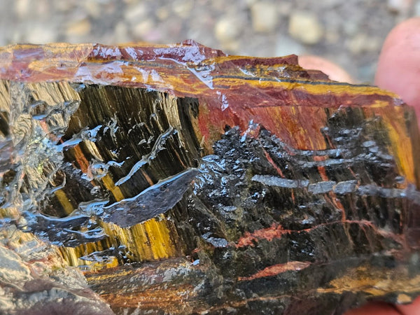 Marra Mamba Tiger Eye rough rock TER105