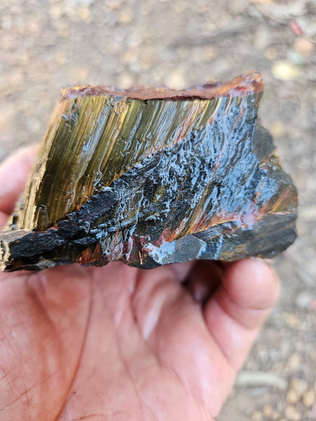 Marra Mamba Tiger Eye rough rock TER105