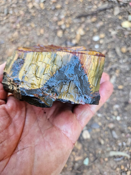 Marra Mamba Tiger Eye rough rock TER105