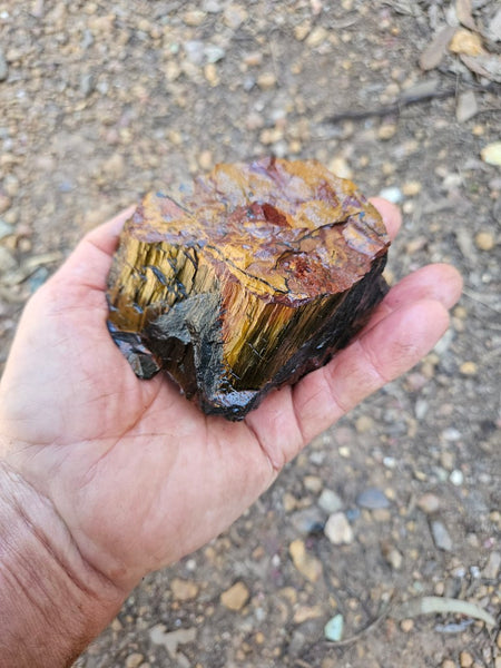 Marra Mamba Tiger Eye rough rock TER105