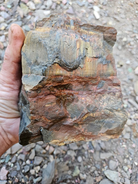 Marra Mamba Tiger Eye rough rock TER106