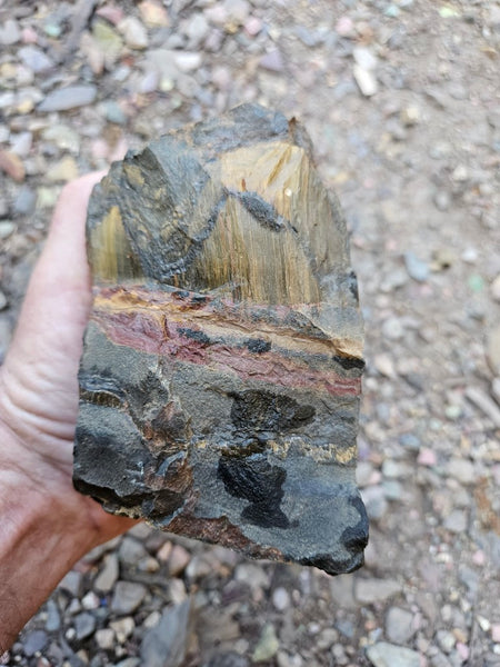 Marra Mamba Tiger Eye rough rock TER106