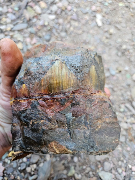 Marra Mamba Tiger Eye rough rock TER106
