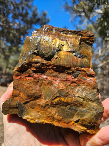 Marra Mamba Tiger Eye rough rock TER106