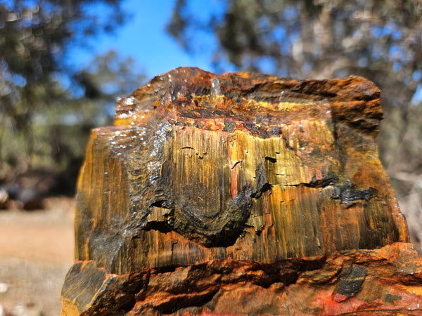 Marra Mamba Tiger Eye rough rock TER106