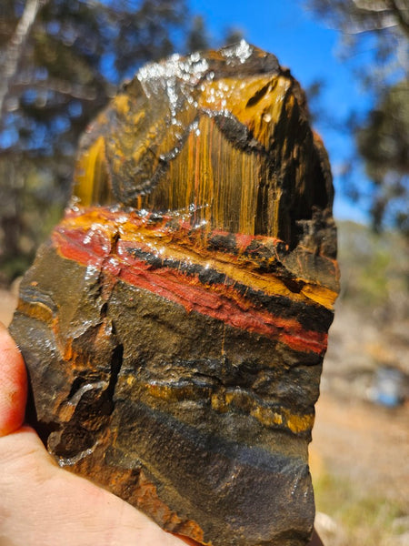 Marra Mamba Tiger Eye rough rock TER106