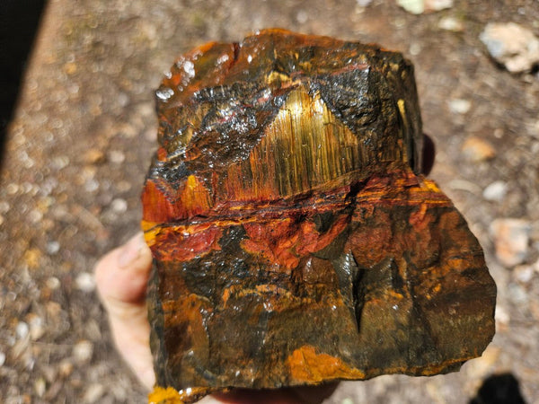 Marra Mamba Tiger Eye rough rock TER106